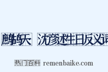 鹧鸪天·沈彦述生日反义词是什么意思的图片